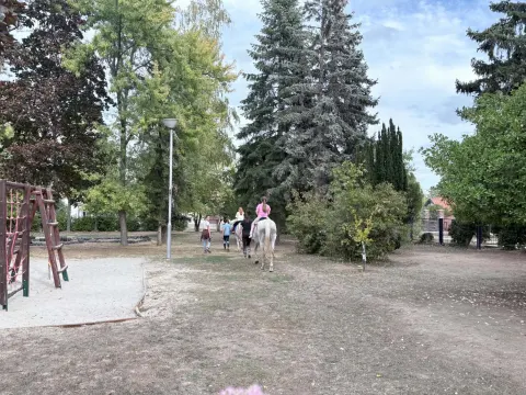 Állatok világnapja 2026