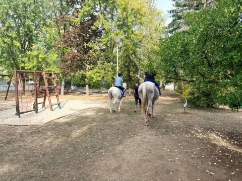 Állatok világnapja 2026