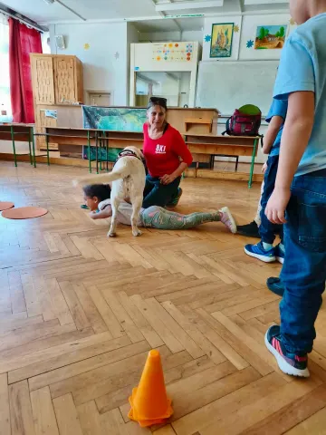 Állatok világnapja 2026