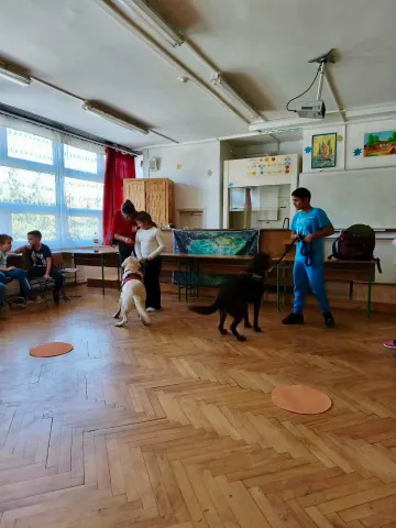 Állatok világnapja 2026
