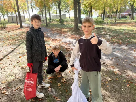 Gesztenyeszedés